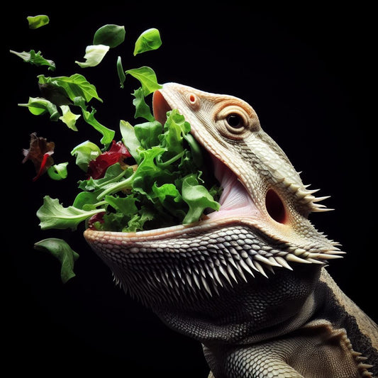 Why Your Bearded Dragon Isn't Eating Greens (And How to Change That)